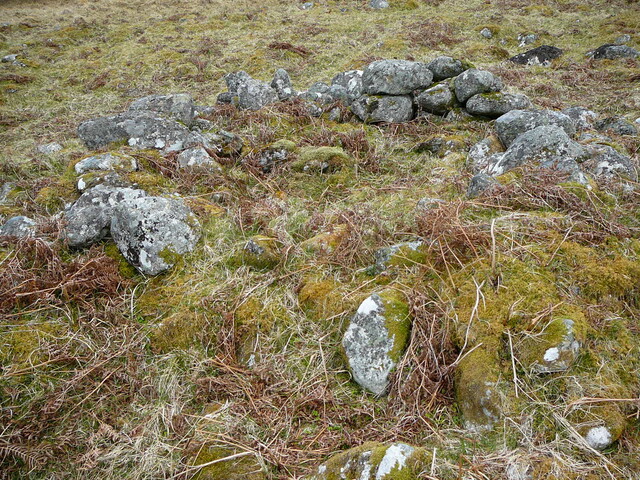 SHG24525_7.JPG