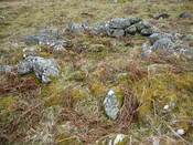 SHG24525_7.JPG
