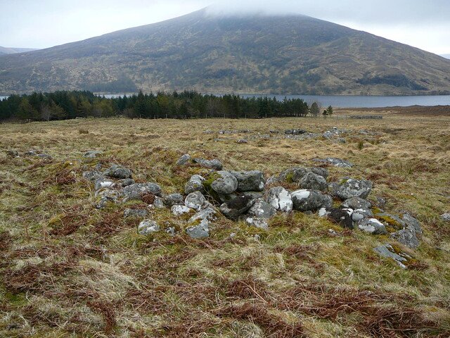 SHG24525_8.JPG