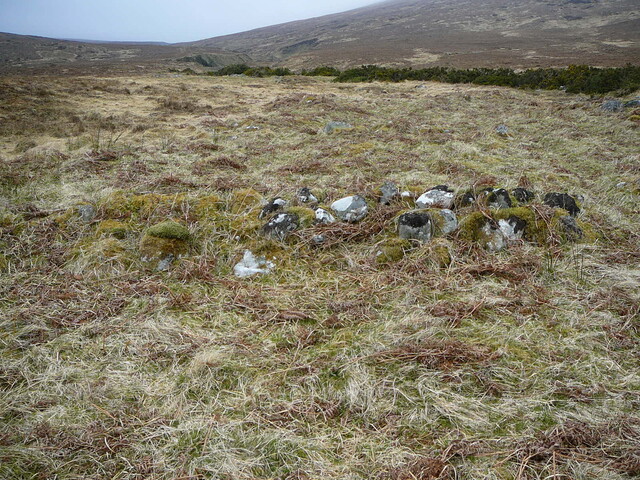 SHG24525_9.JPG