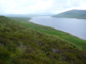 P1040006.JPG