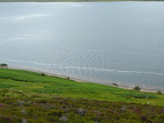 P1040007.JPG