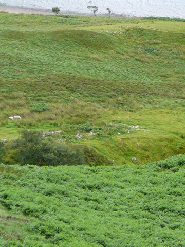P1040010.JPG