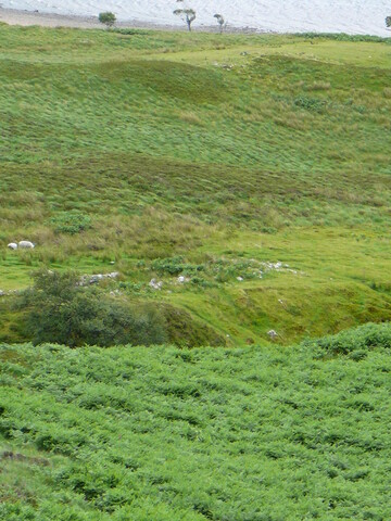 P1040011.JPG