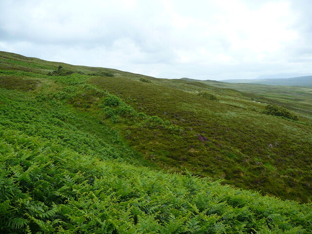 P1040012.JPG