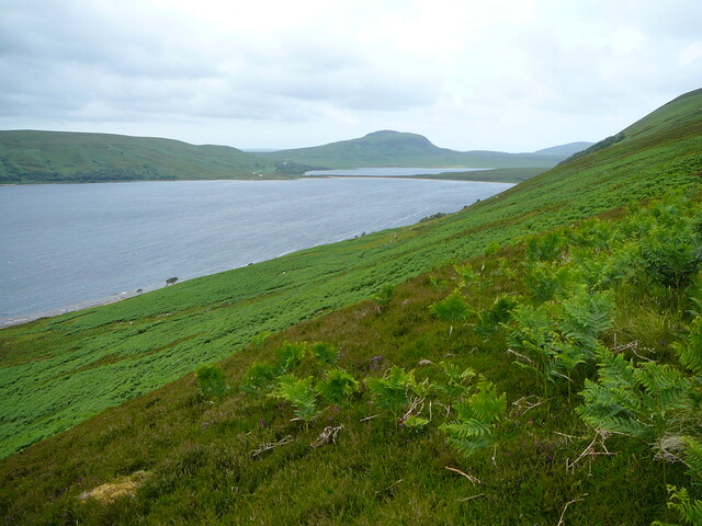 P1040013.JPG