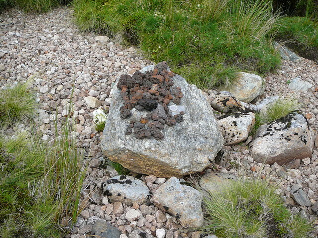 P1040045.JPG