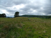 DSCF3165.JPG