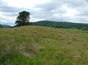DSCF3166.JPG