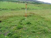 DSCF3258.JPG