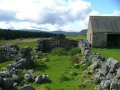 DSCF3223.JPG