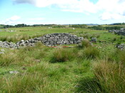 DSCF3225.JPG