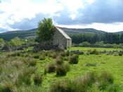 DSCF3229.JPG