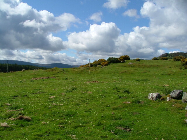 DSCF3230.JPG