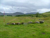 DSCF3395.JPG