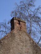 DSC01381.JPG