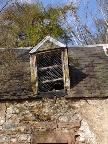 DSC01384.JPG