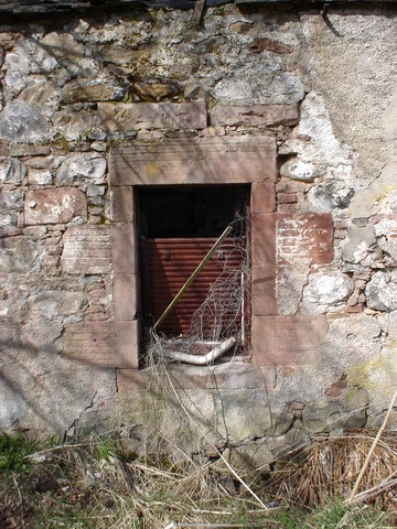 DSC01385.JPG