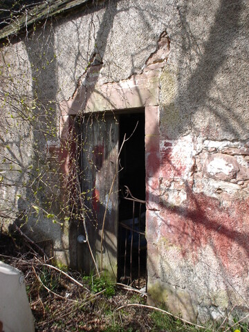DSC01386.JPG