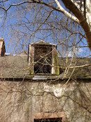 DSC01388.JPG