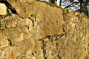 _DSC4898.jpg