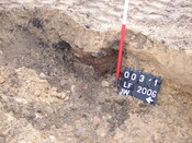 003-1.JPG