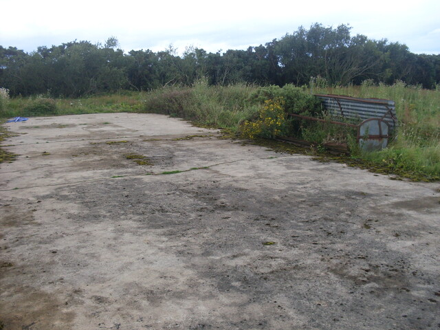 Picture 002.jpg