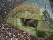 DSCF0511.JPG