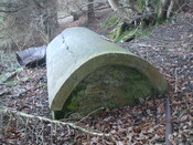 DSCF0513.JPG