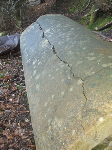 DSCF0514.JPG