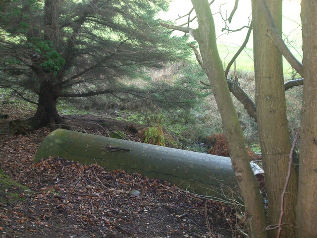 DSCF0515.JPG