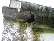 IMG_0612.JPG