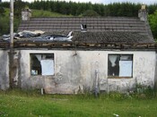 IMG_0652.JPG