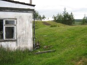 IMG_0655.JPG