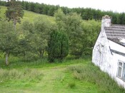 IMG_0659.JPG
