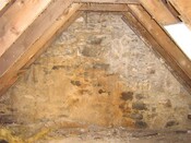 IMG_1026.JPG