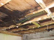 IMG_1038.JPG