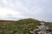 DSC_0893.jpg