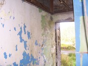 101_0496.JPG