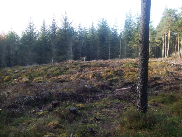 5th Nov 09 015.JPG