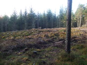 5th Nov 09 015.JPG