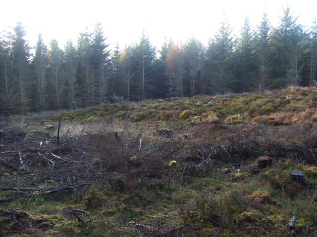 5th Nov 09 016.JPG