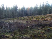 5th Nov 09 016.JPG