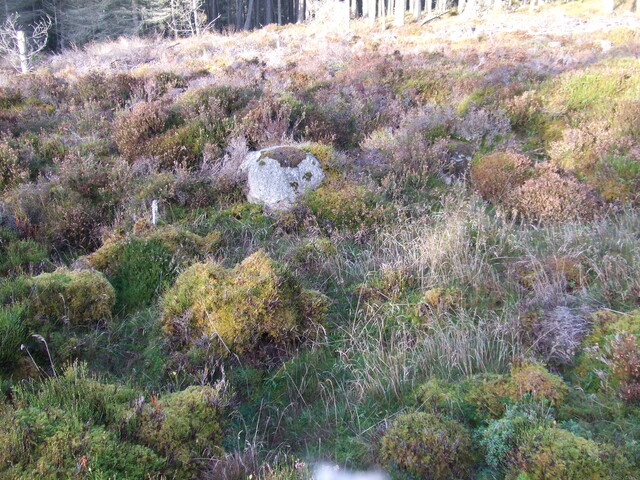 5th Nov 09 017.JPG