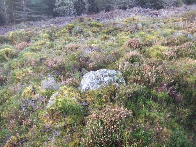 5th Nov 09 018.JPG