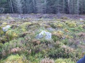 5th Nov 09 019.JPG