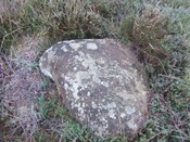 Inchindown 10th Dec 09 003.JPG