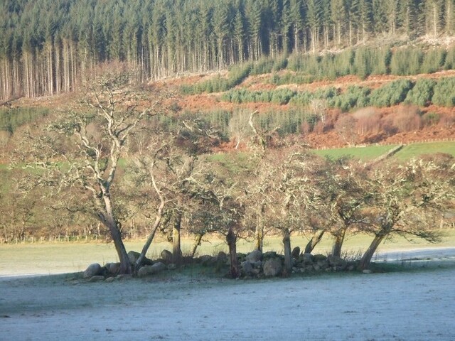 Inchindown 10th Dec 09 002.JPG