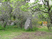 IMG_0567.jpg