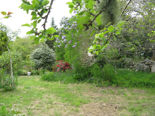 IMG_0569.jpg